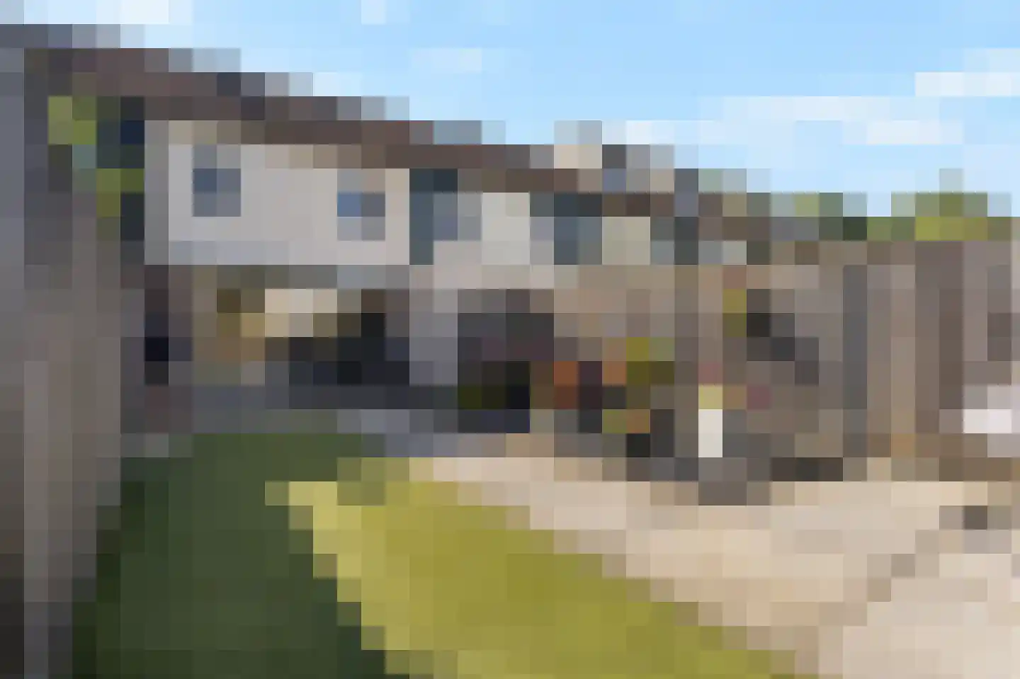 Spechtstraat 4 Duiven thumbnail 40