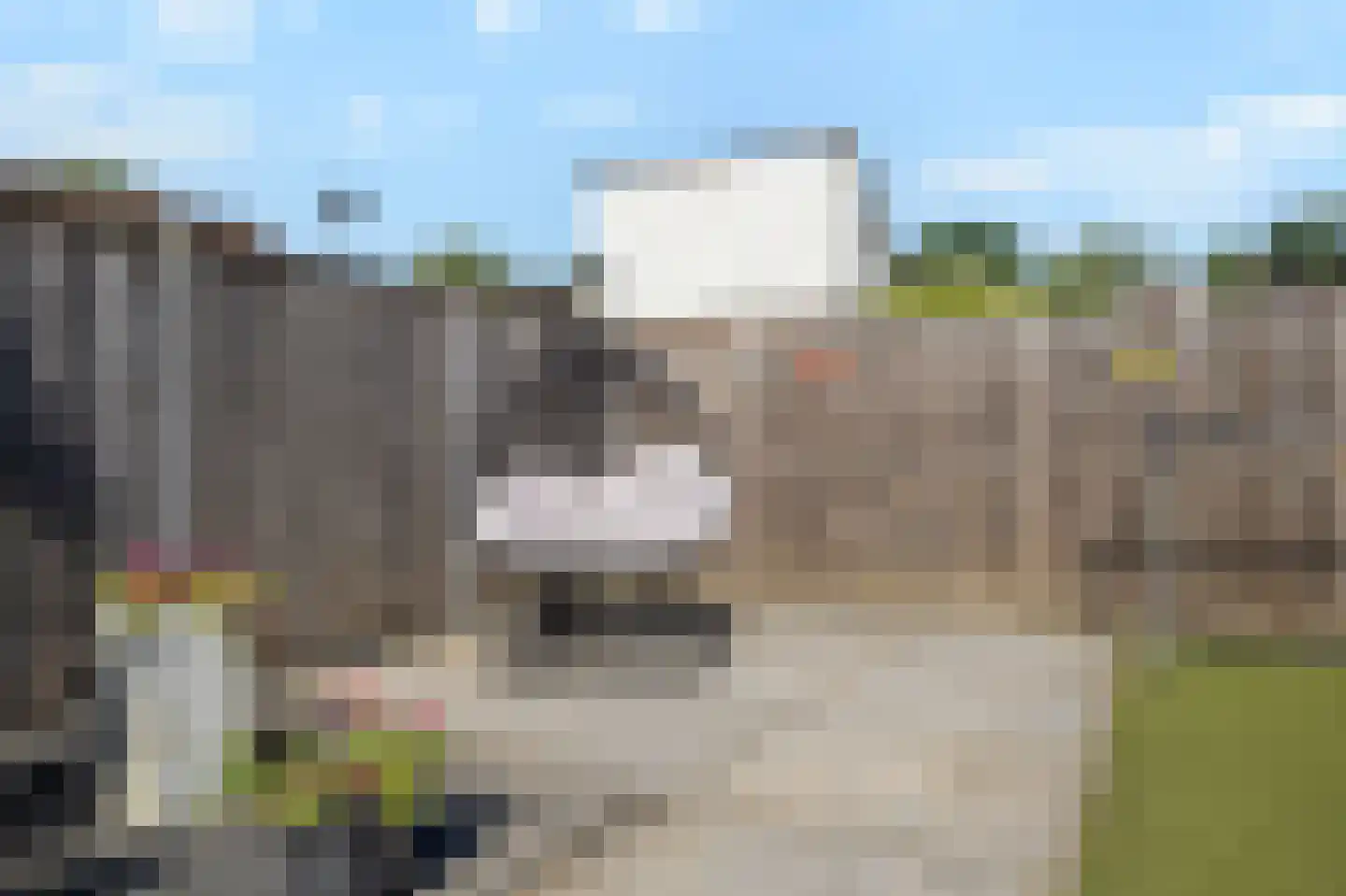 Spechtstraat 4 Duiven thumbnail 44