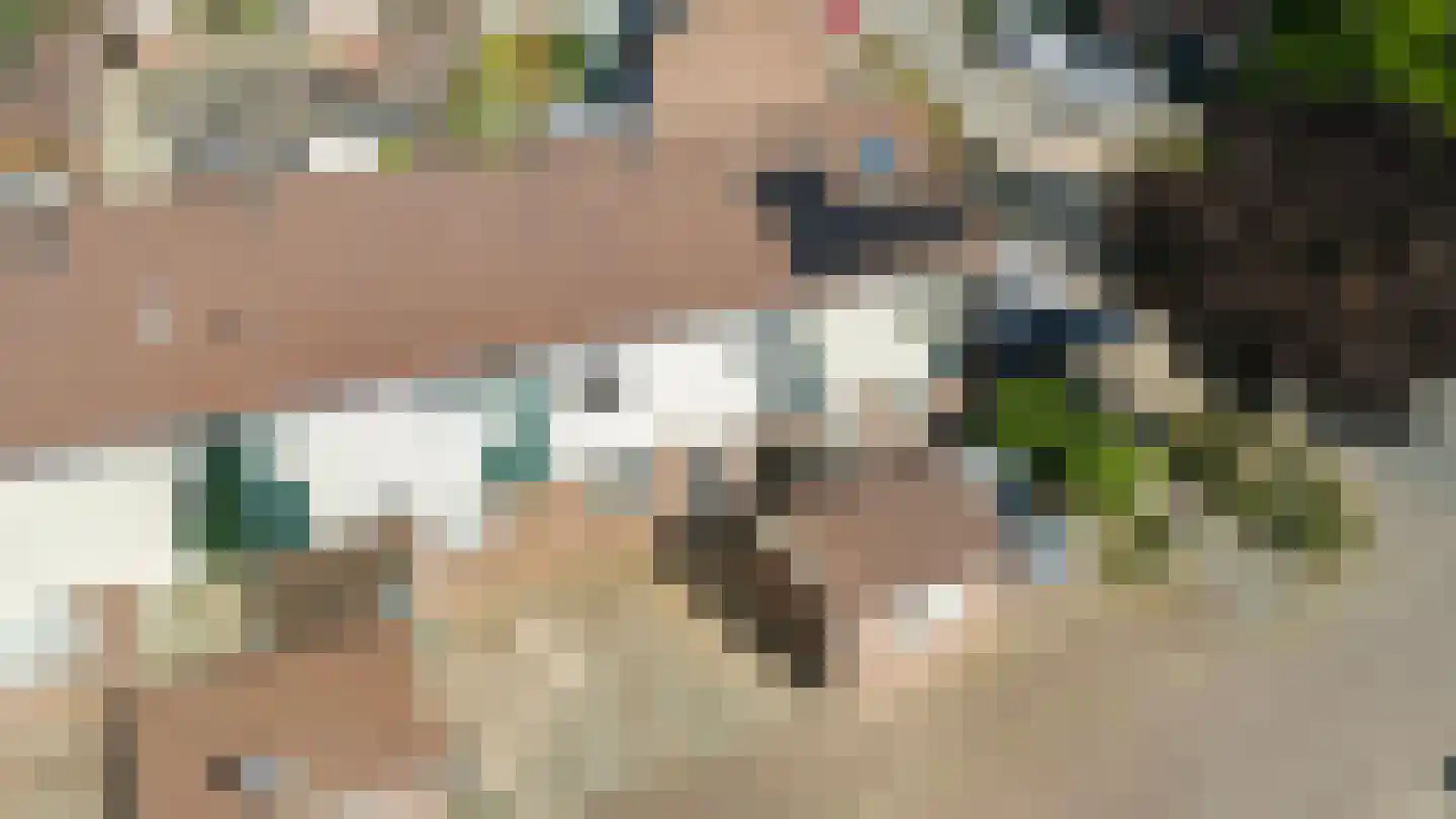 Spechtstraat 4 Duiven thumbnail 47