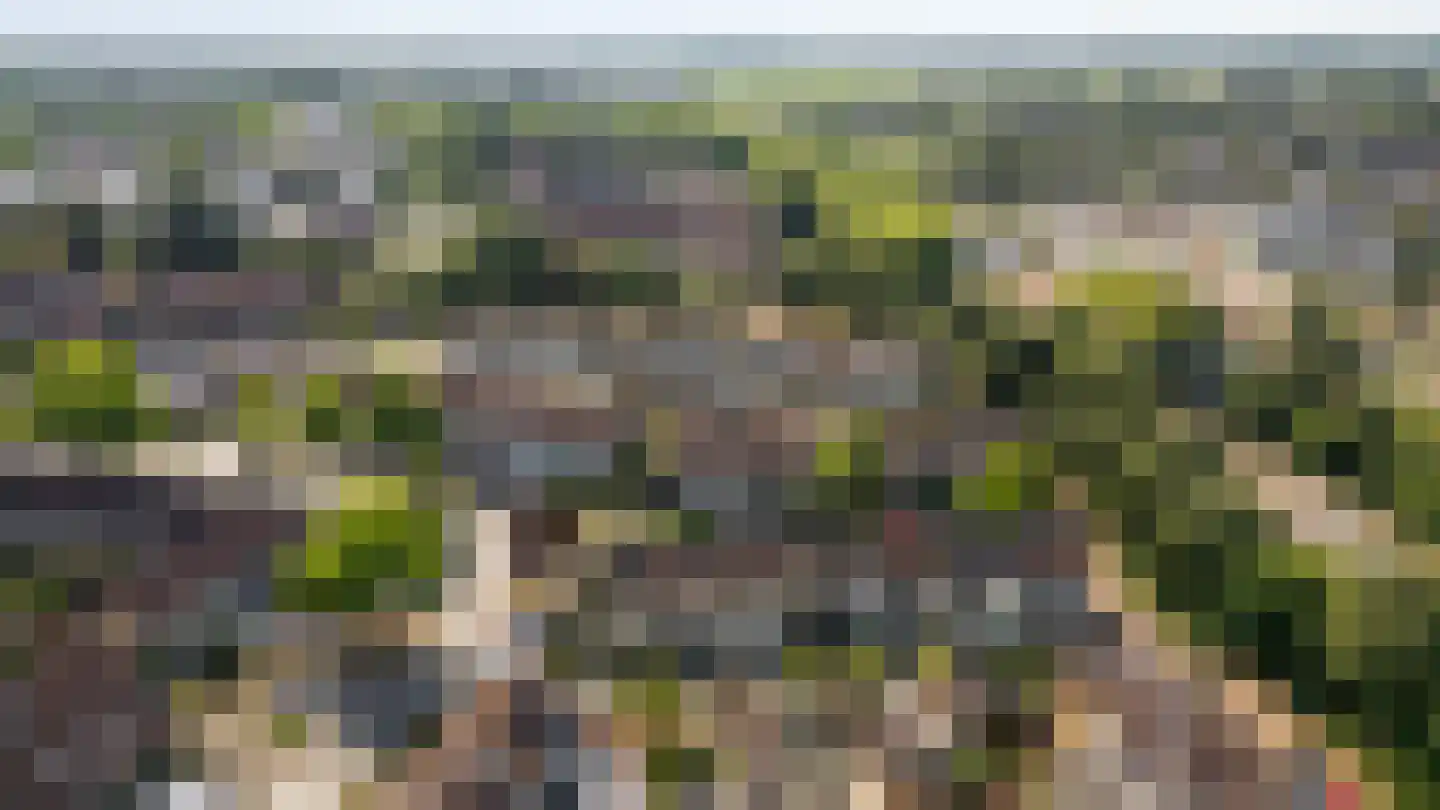 Spechtstraat 4 Duiven thumbnail 52