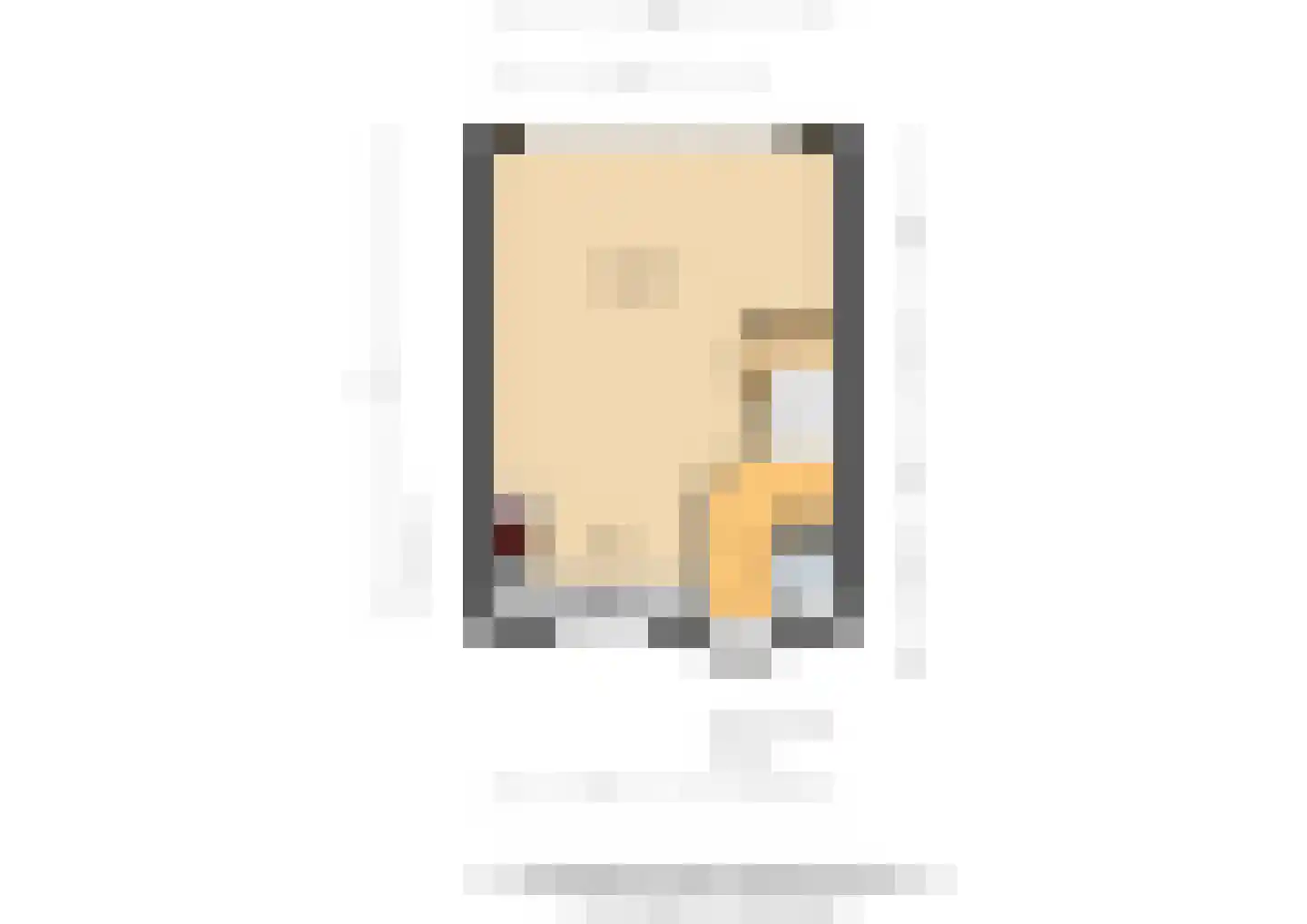 Spechtstraat 4 Duiven thumbnail 53