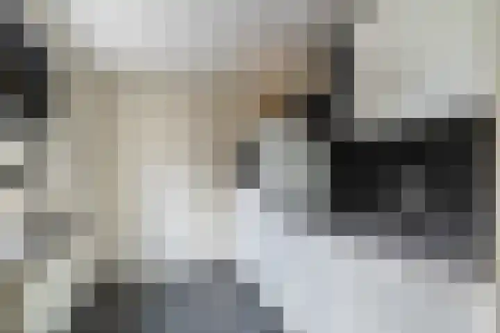 Spechtstraat 4 Kerkrade thumbnail 6