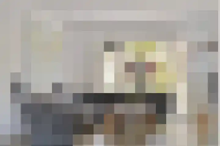 Spechtstraat 4 Made thumbnail 10