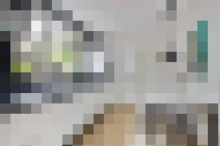 Spechtstraat 4 Made thumbnail 16