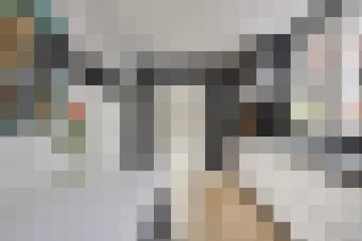 Spechtstraat 4 Made thumbnail 18