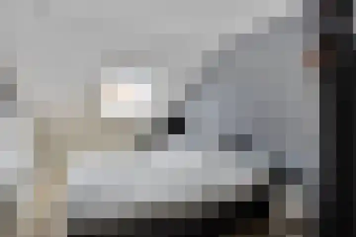 Spechtstraat 4 Made thumbnail 28