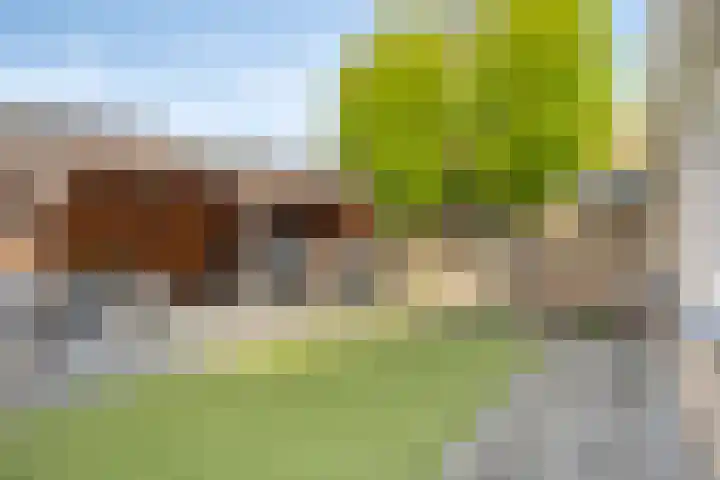 Spechtstraat 4 Made thumbnail 33