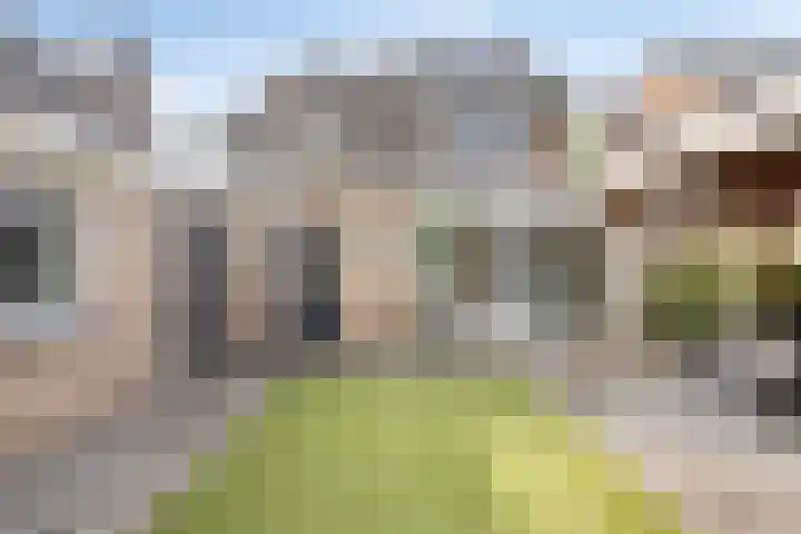 Spechtstraat 4 Made thumbnail 34