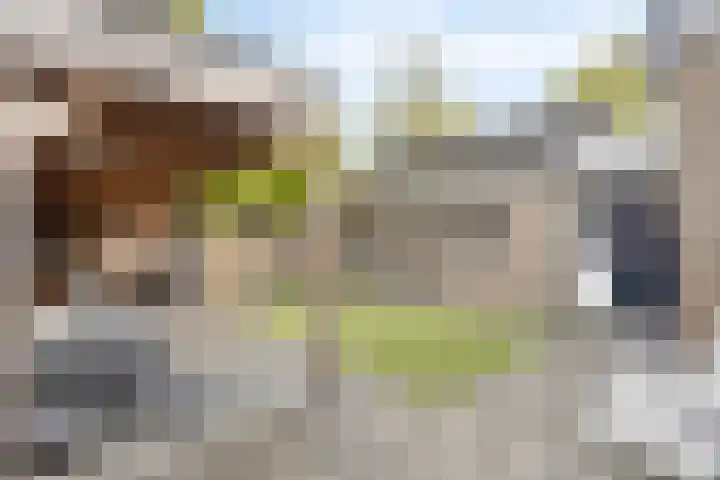 Spechtstraat 4 Made thumbnail 35