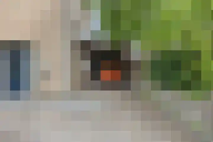 Spechtstraat 4 Made thumbnail 39