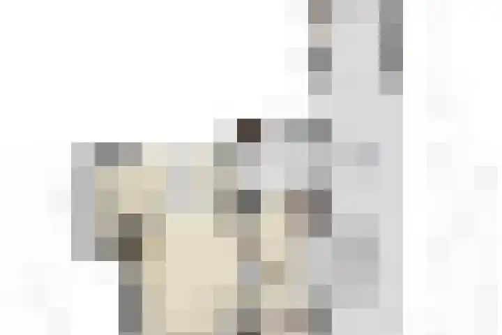 Spechtstraat 4 Made thumbnail 41