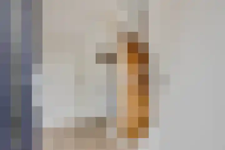 Spechtstraat 4 Made thumbnail 6