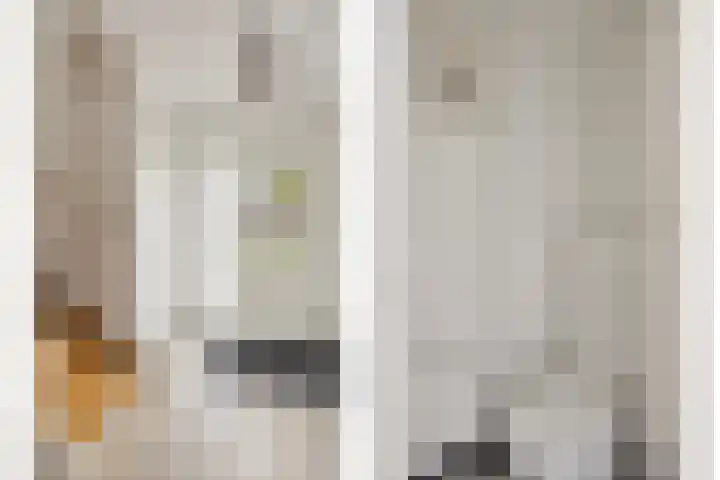 Spechtstraat 4 Made thumbnail 7