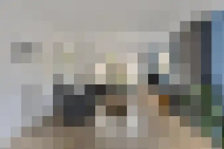 Spechtstraat 4 Made thumbnail 9