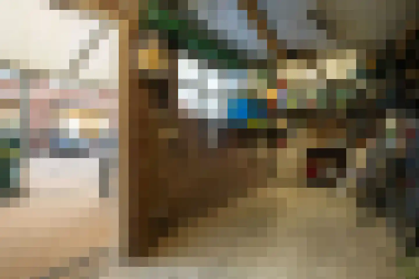 Spechtstraat 4 Oosterhout thumbnail 37