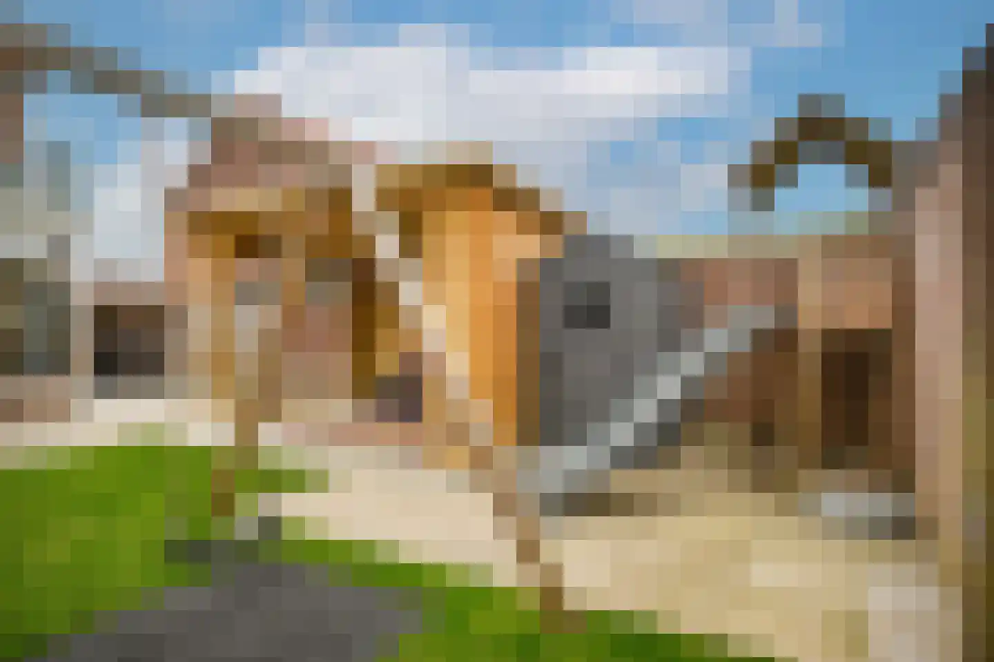 Spechtstraat 4 Opheusden thumbnail 27