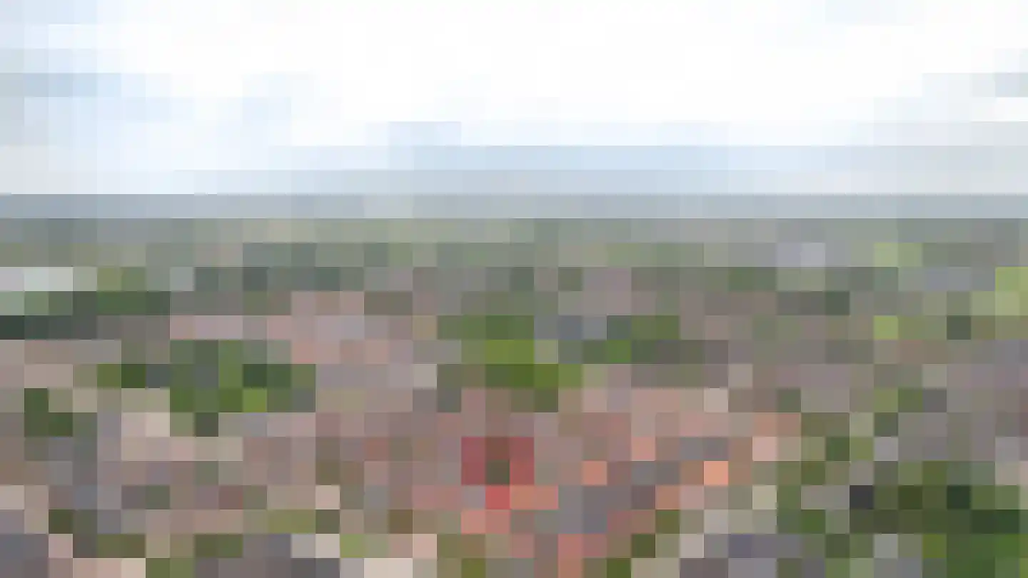 Spechtstraat 4 Opheusden thumbnail 42