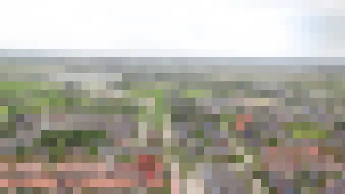 Spechtstraat 4 Opheusden thumbnail 43