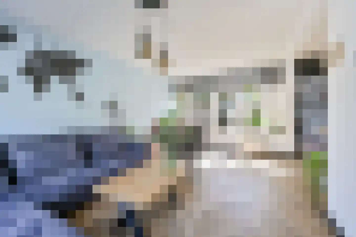Spechtstraat 4 Spijkenisse thumbnail 10