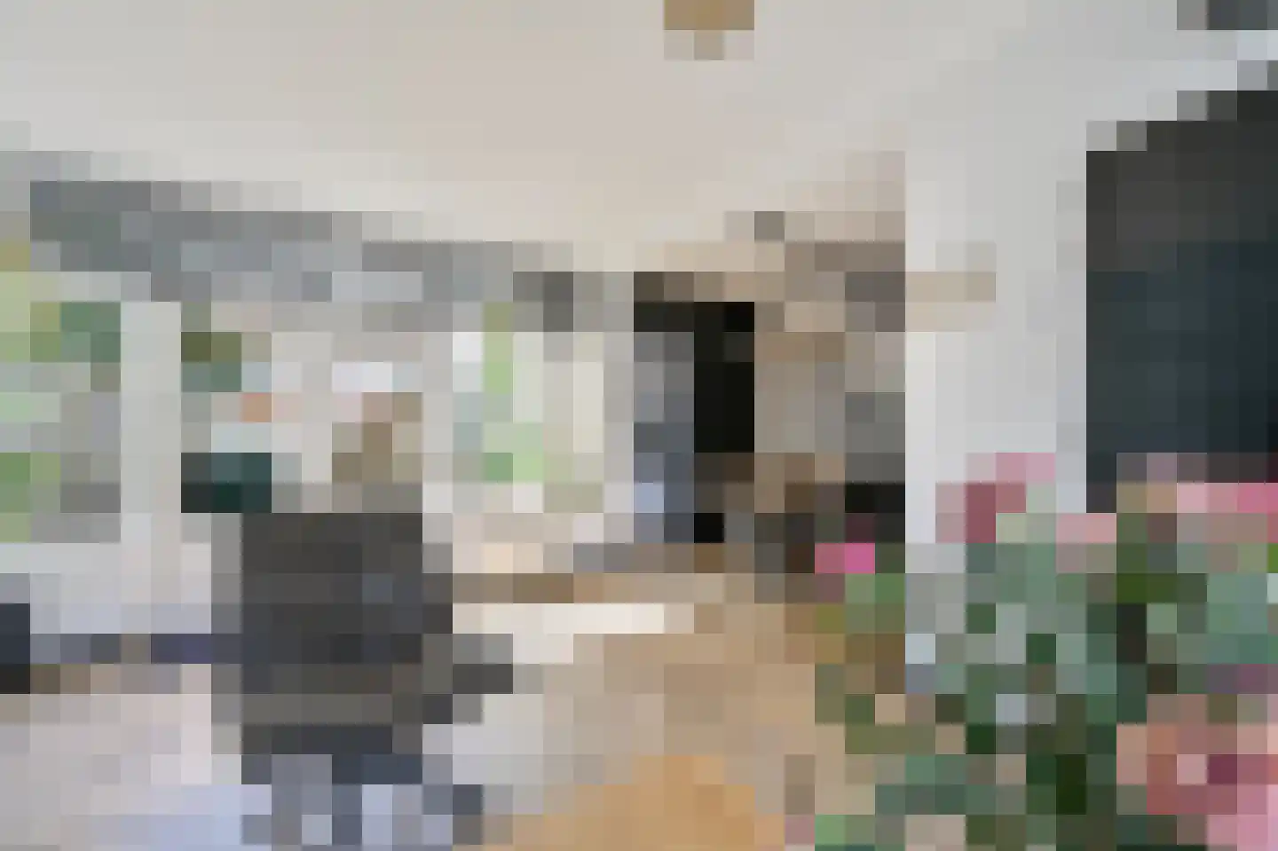 Spechtstraat 4 Spijkenisse thumbnail 11