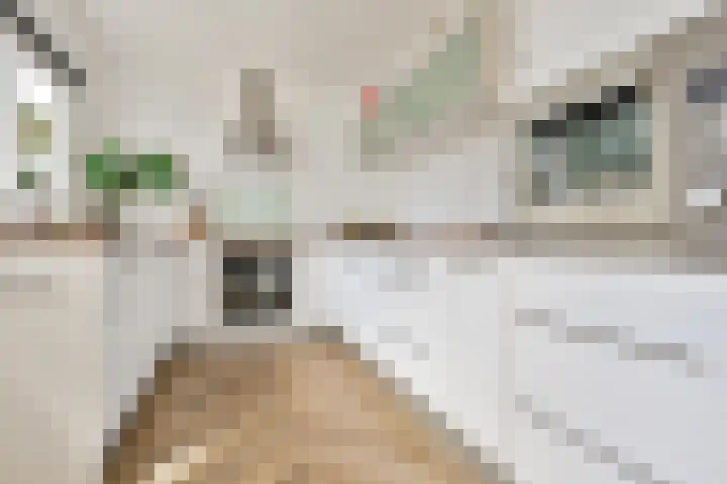 Spechtstraat 4 Spijkenisse thumbnail 13