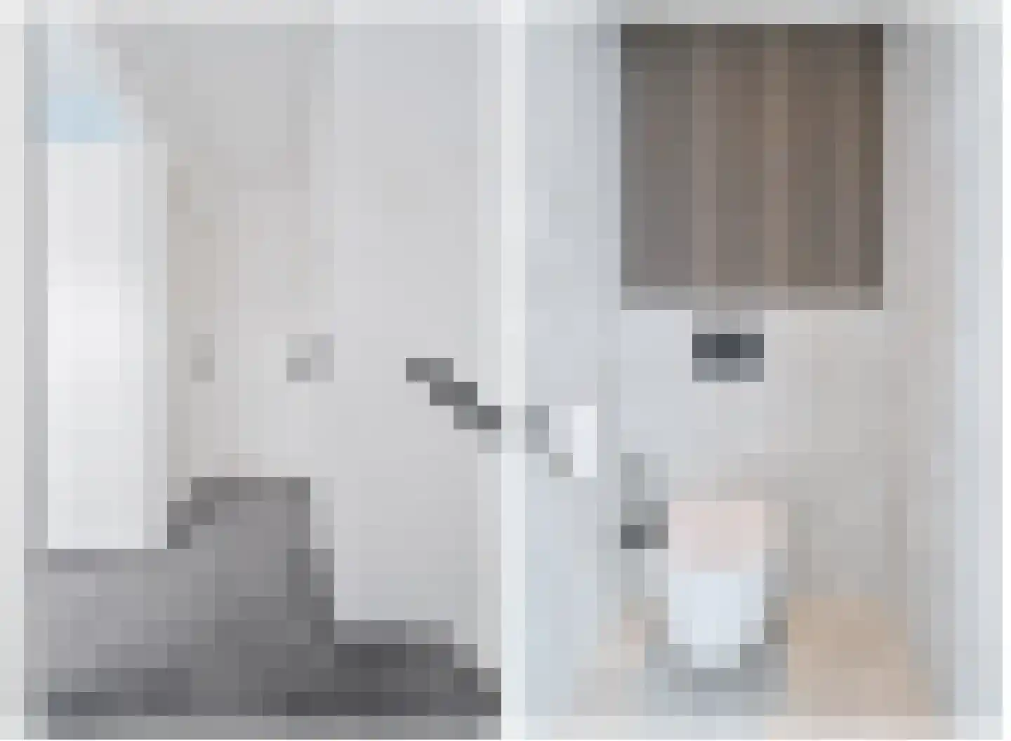 Spechtstraat 4 Spijkenisse thumbnail 17