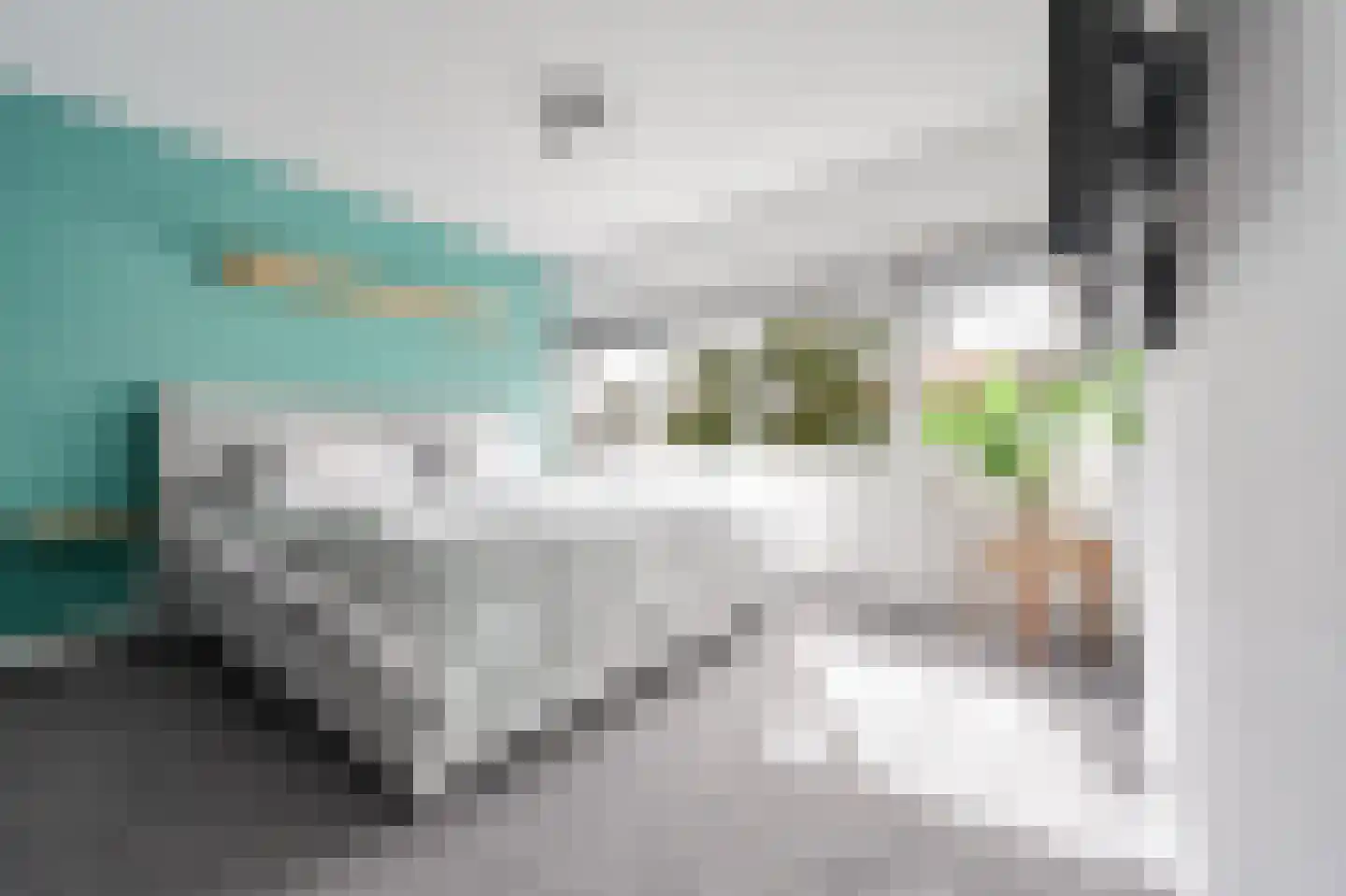 Spechtstraat 4 Spijkenisse thumbnail 18