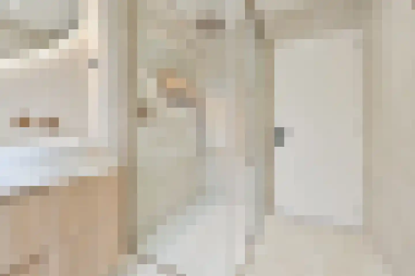 Spechtstraat 4 Spijkenisse thumbnail 19