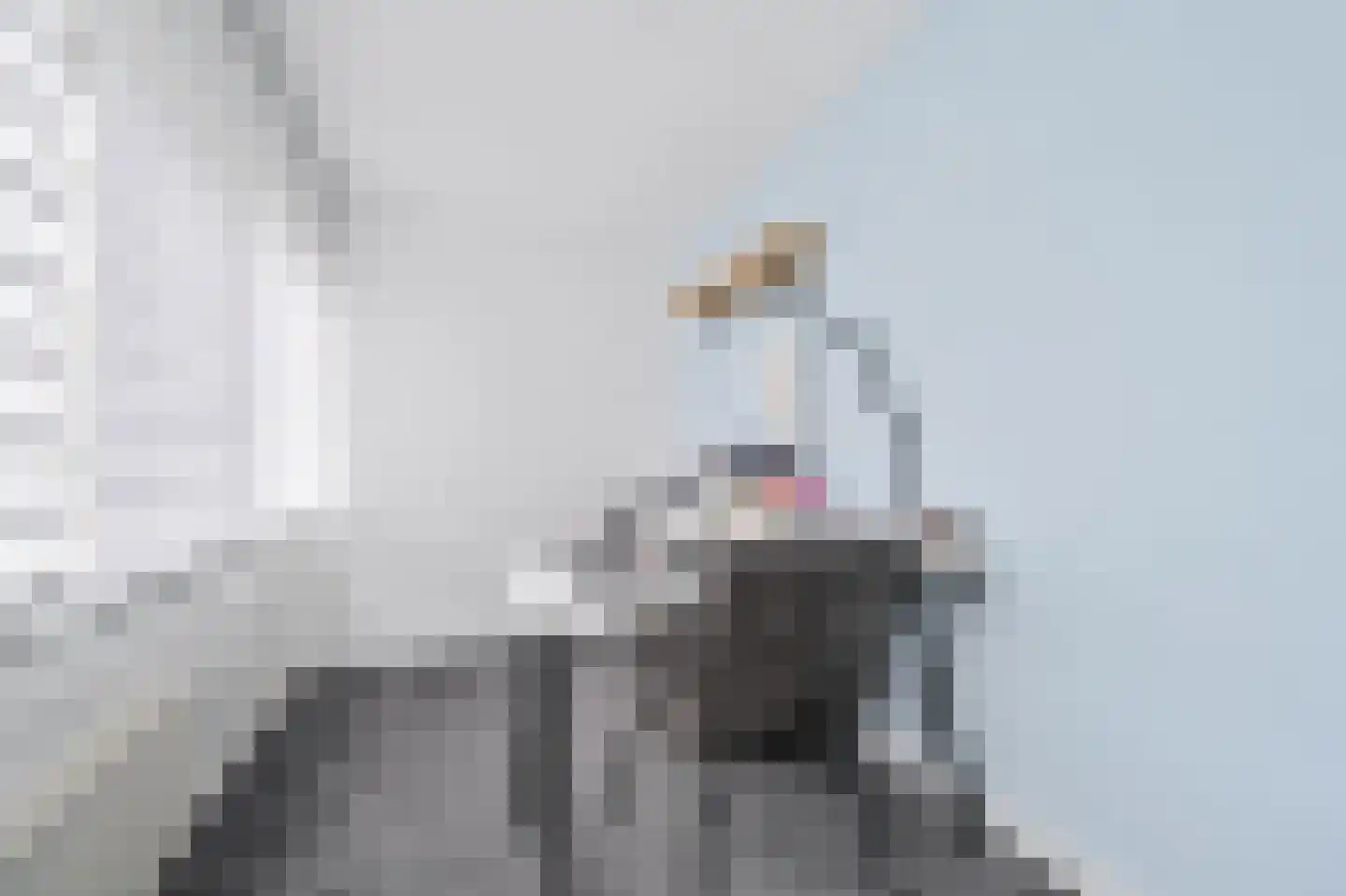 Spechtstraat 4 Spijkenisse thumbnail 20