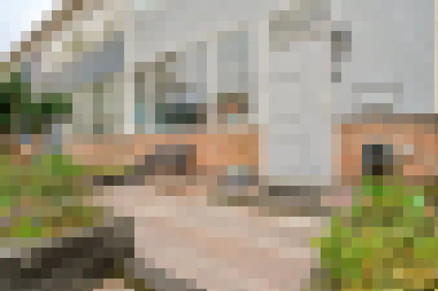 Spechtstraat 4 Spijkenisse thumbnail 7