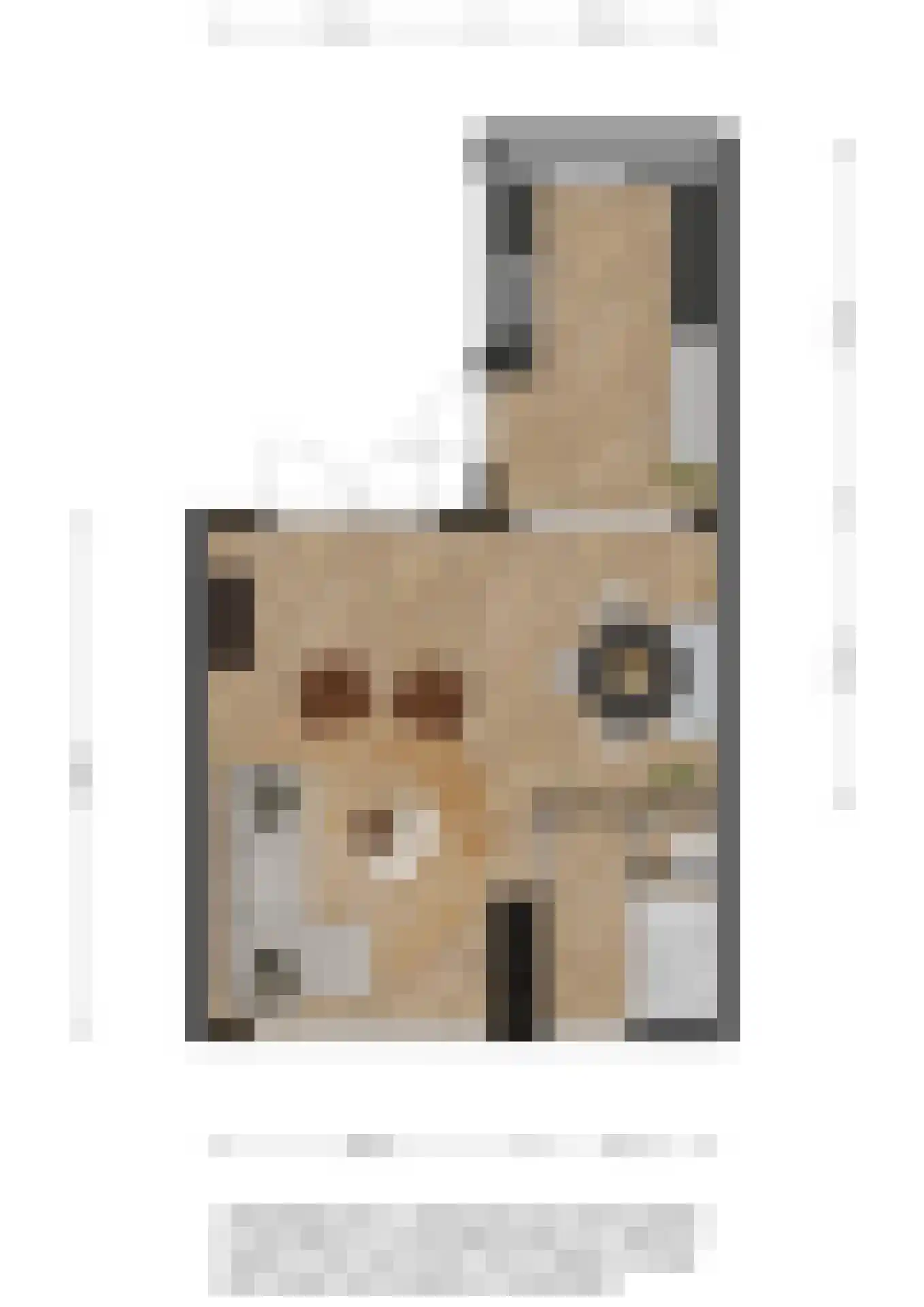 Spechtstraat 4 Spijkenisse thumbnail 8