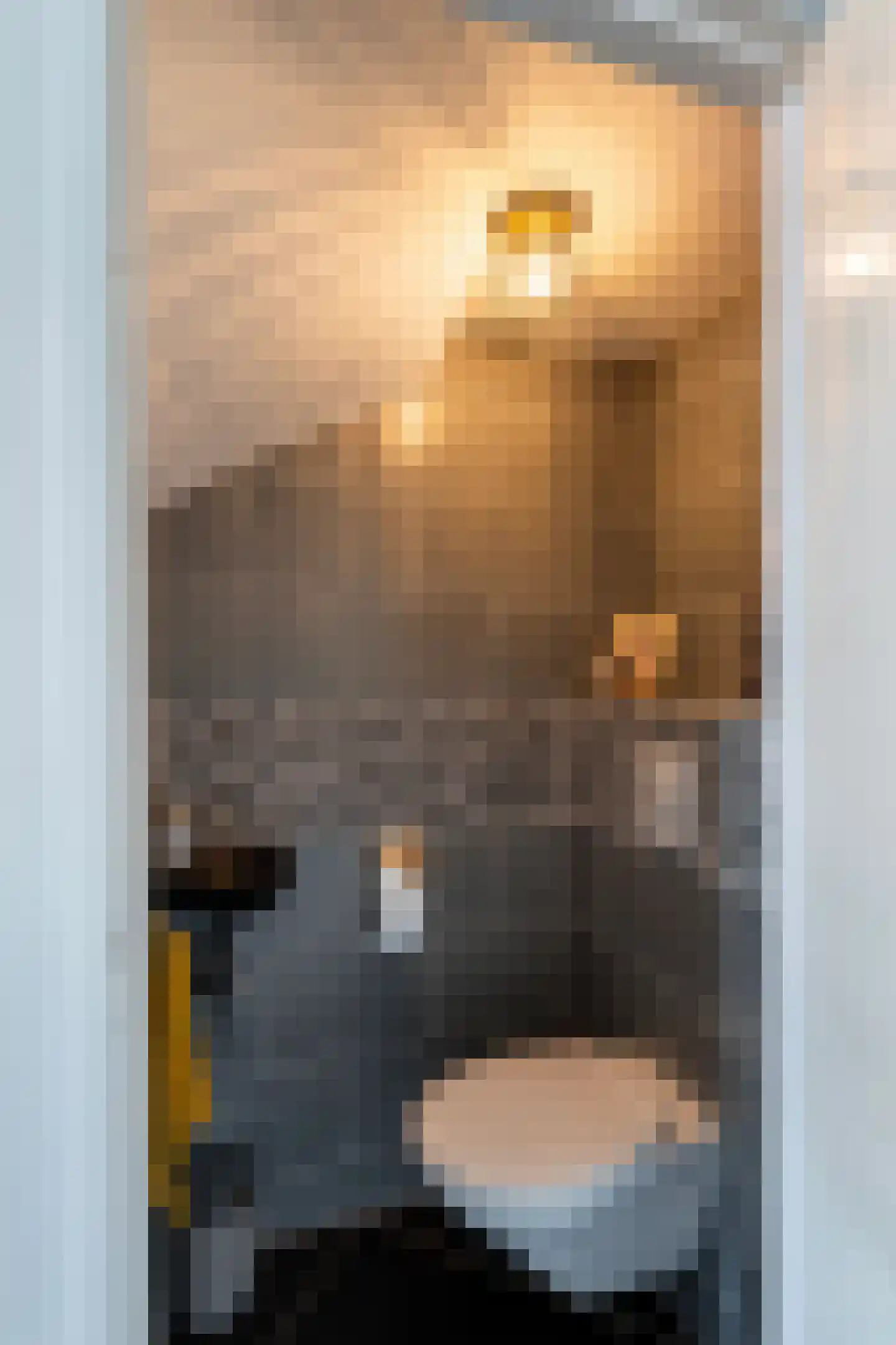 Spechtstraat 42 Maassluis thumbnail 11