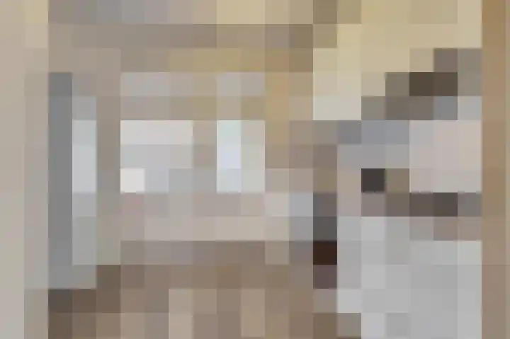 Spechtstraat 42 Tegelen thumbnail 5