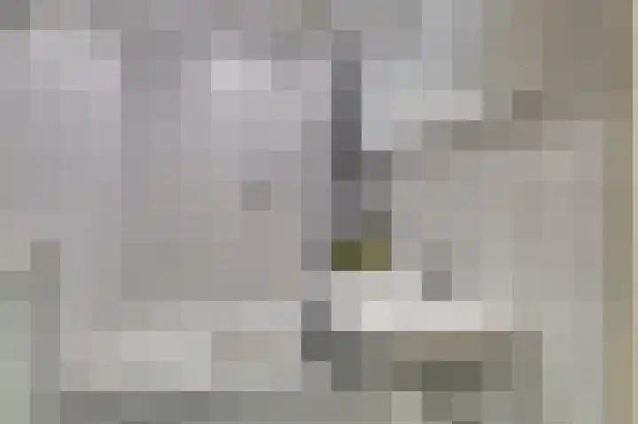 Spechtstraat 42 Tegelen thumbnail 9