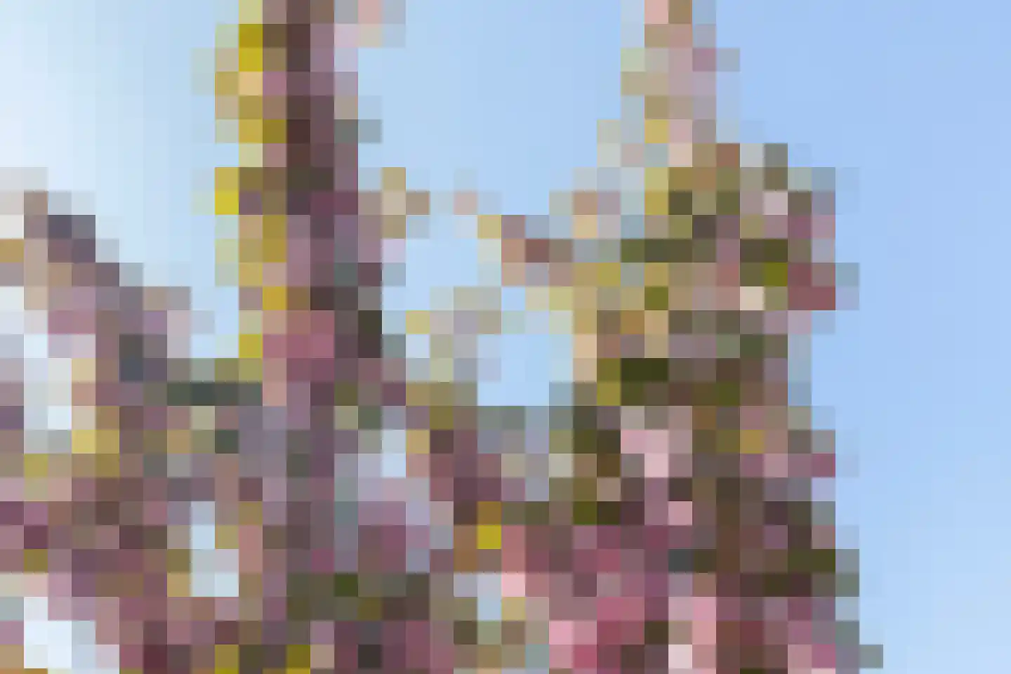 Spechtstraat 5 Maassluis thumbnail 15