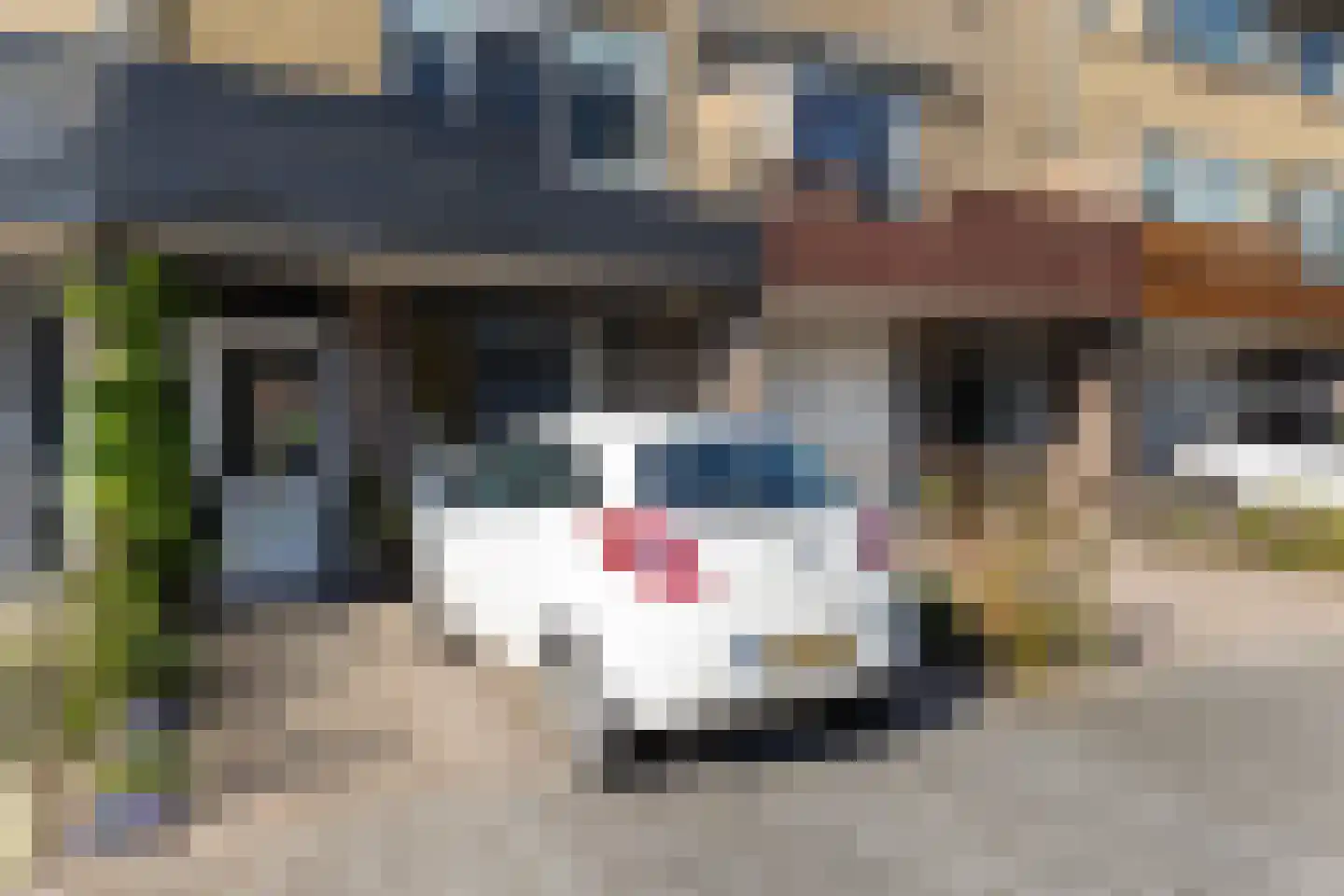 Spechtstraat 5 Maassluis thumbnail 7
