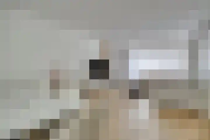 Spechtstraat 5 Oosterhout thumbnail 12