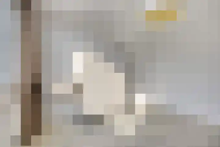 Spechtstraat 5 Oosterhout thumbnail 33