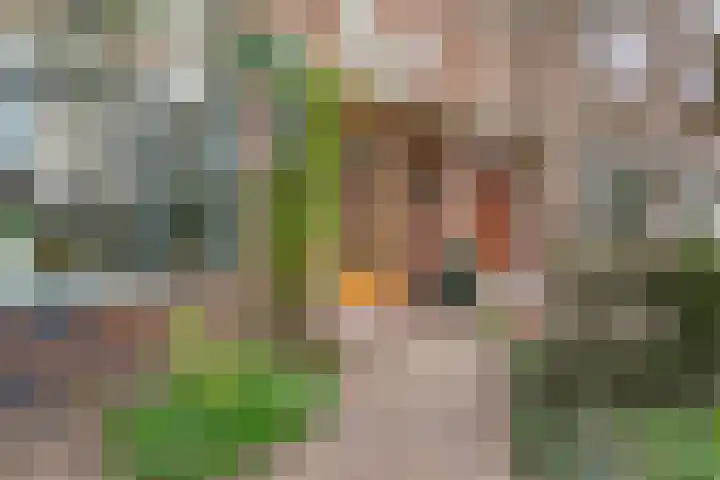 Spechtstraat 6 Badhoevedorp thumbnail 10