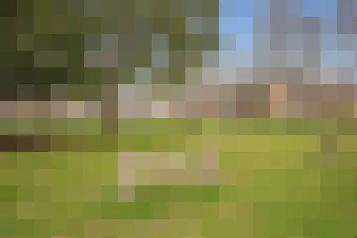 Spechtstraat 6 Badhoevedorp thumbnail 4