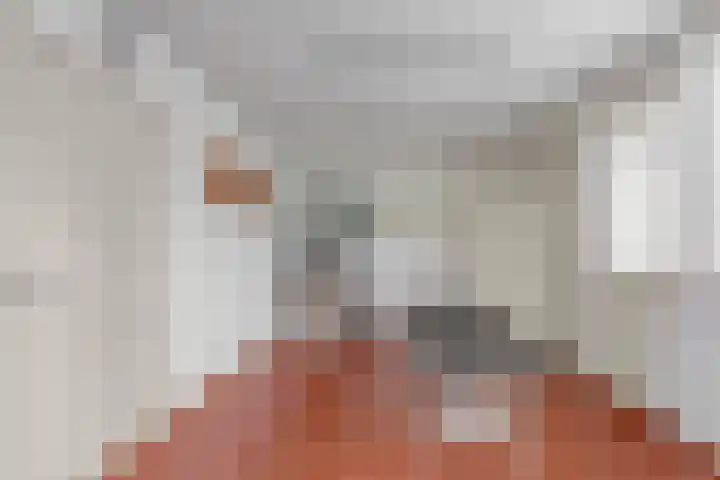 Spechtstraat 6 Badhoevedorp thumbnail 49
