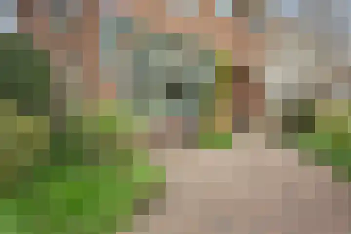 Spechtstraat 6 Badhoevedorp thumbnail 9