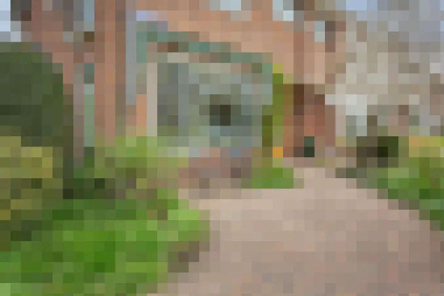 Spechtstraat 6 Badhoevedorp thumbnail 9