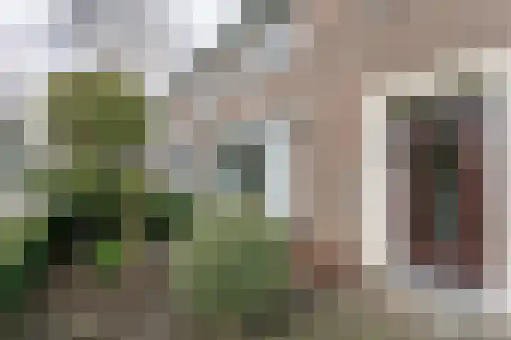 Spechtstraat 6 Heerlen thumbnail 4