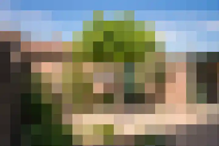 Spechtstraat 6 Opheusden thumbnail 23
