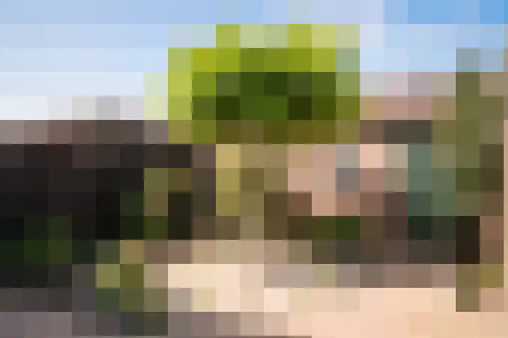 Spechtstraat 6 Opheusden thumbnail 4