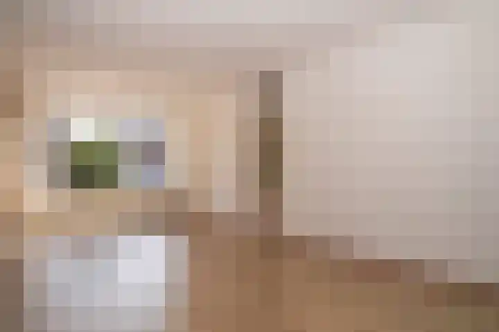 Spechtstraat 6 Opheusden thumbnail 6