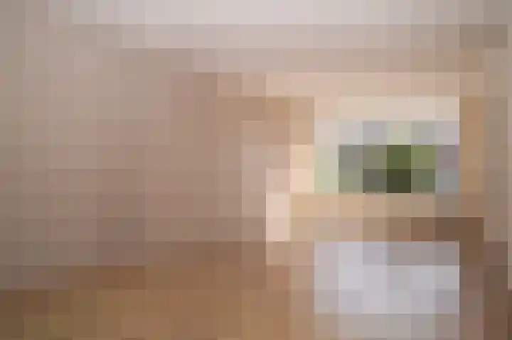 Spechtstraat 6 Opheusden thumbnail 8