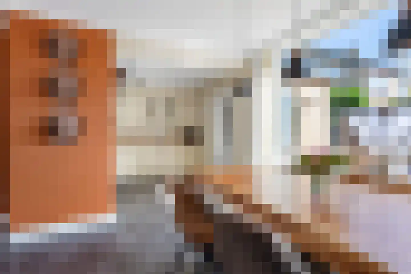 Spechtstraat 65 Ermelo thumbnail 12