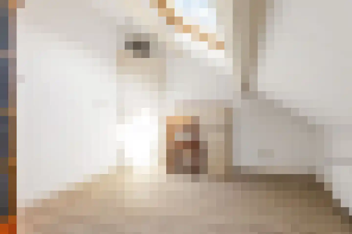 Spechtstraat 65 Ermelo thumbnail 28